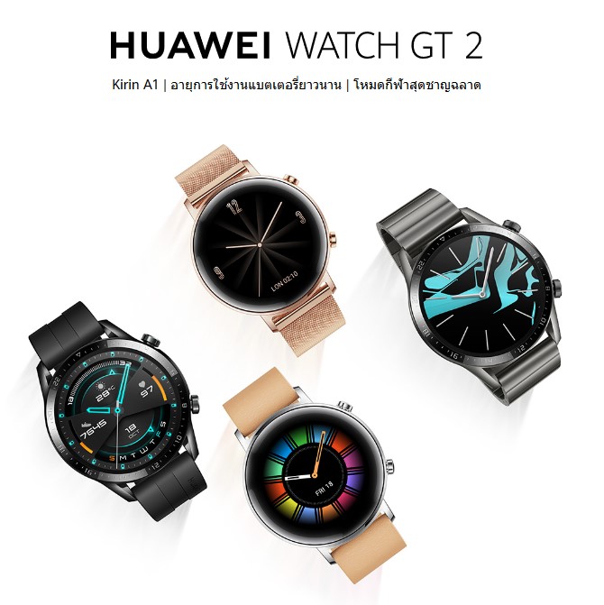 Huawei WATCH GT 2 46mm : PEBBLE BROWN